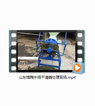 山东馆陶牛场干清粪处理现场