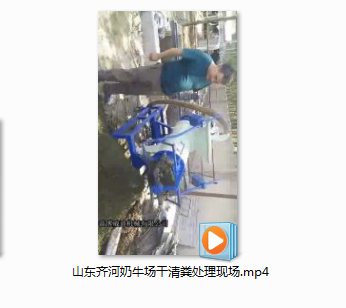 山东齐河奶牛场干清粪处理现场