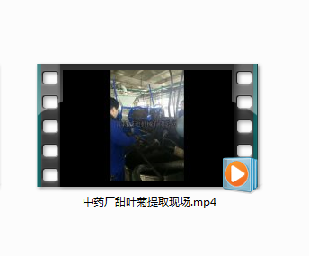 中药厂甜叶菊提取现场